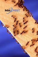 MAX Pest Control Werribee image 2